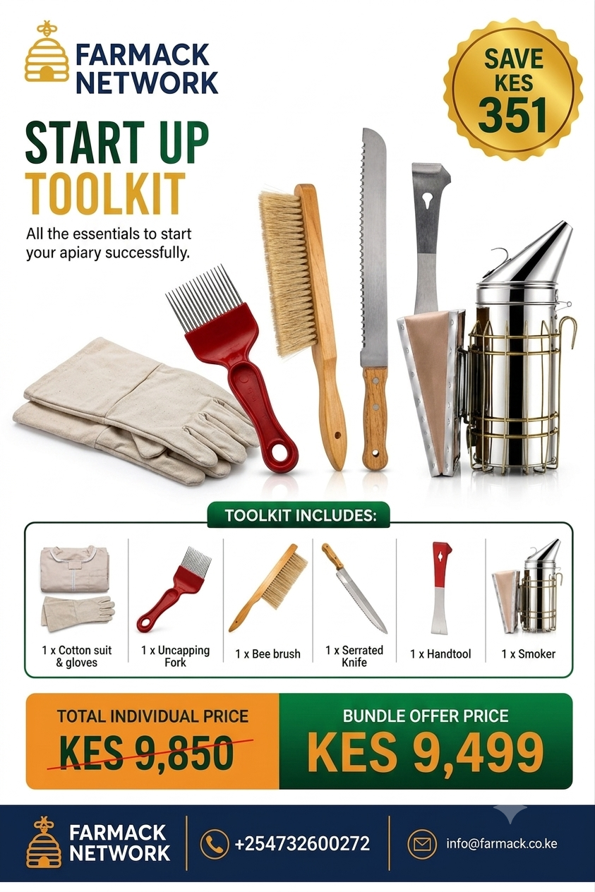 Start Up Toolkit